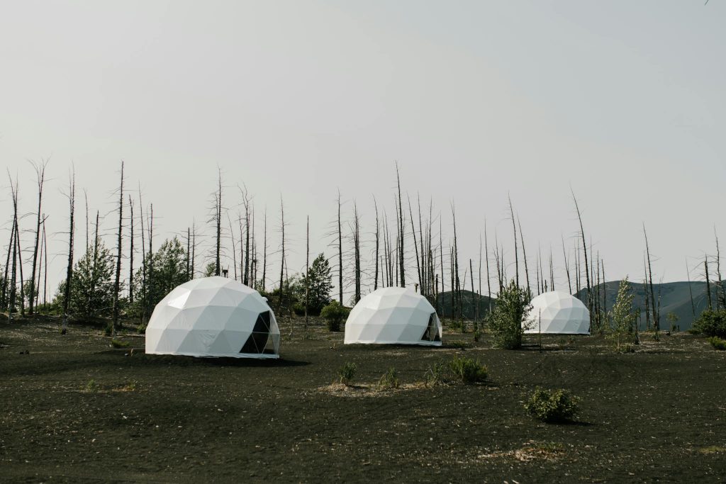Dome Tents and Leafless Trees